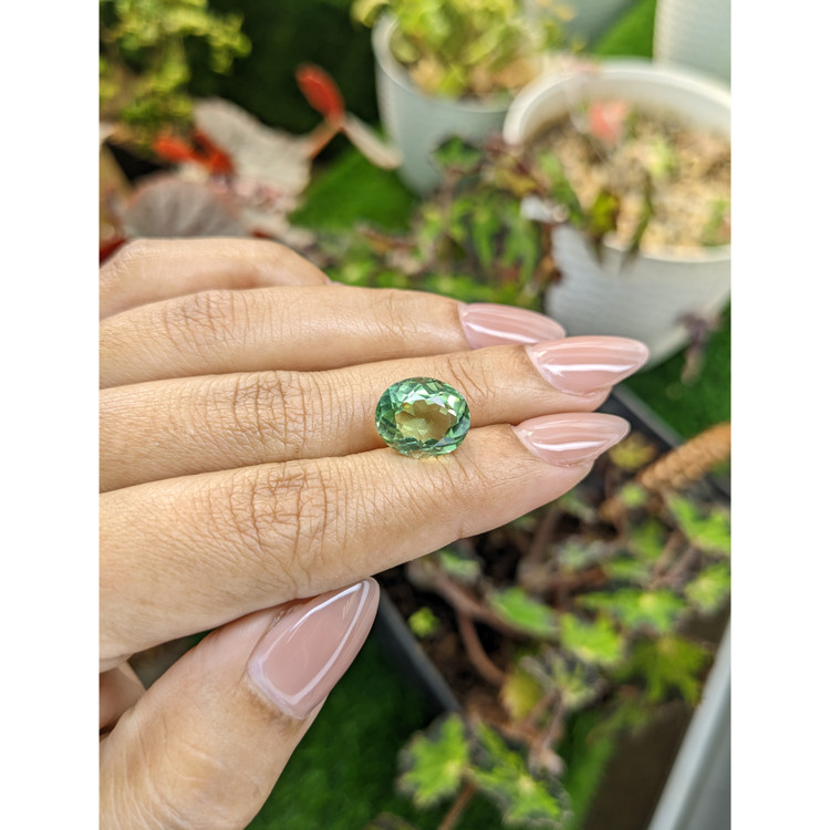 5.33 Ct. Green Prasiolite from Brazil
