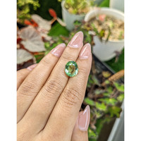 5.33 Ct. Green Prasiolite from Brazil Life Style