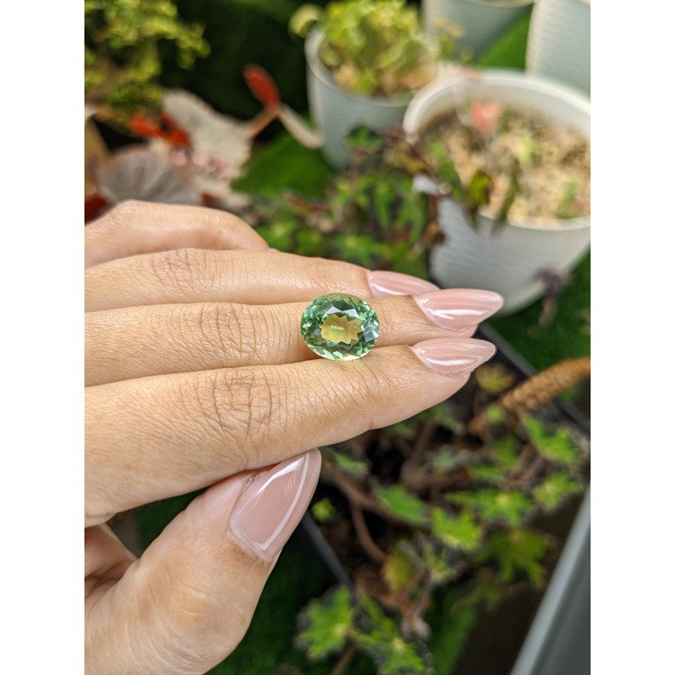 7.30 Ct. Green Prasiolite from Brazil