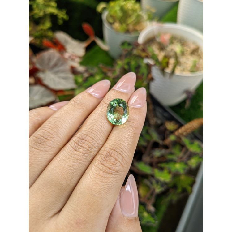 7.30 Ct. Green Prasiolite from Brazil