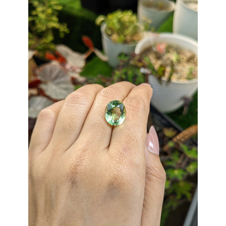 7.30 Ct. Green Prasiolite from Brazil