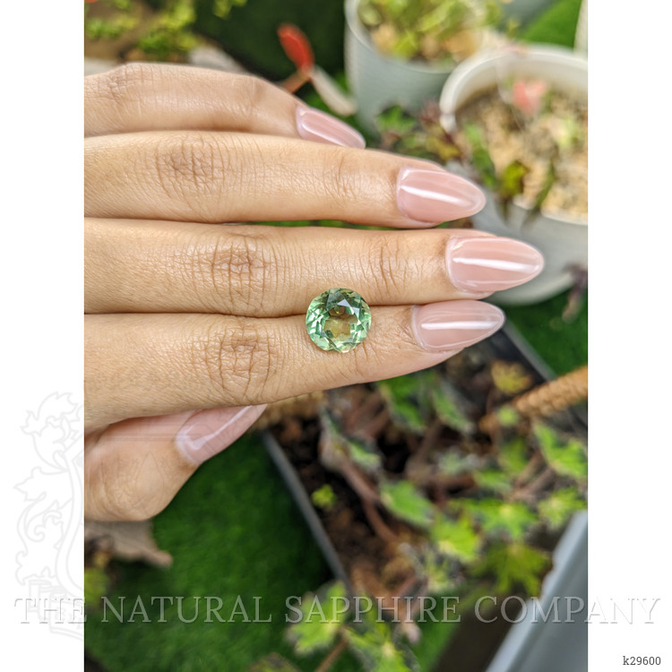 5.26 Ct. Yellowish Green Prasiolite from Brazil