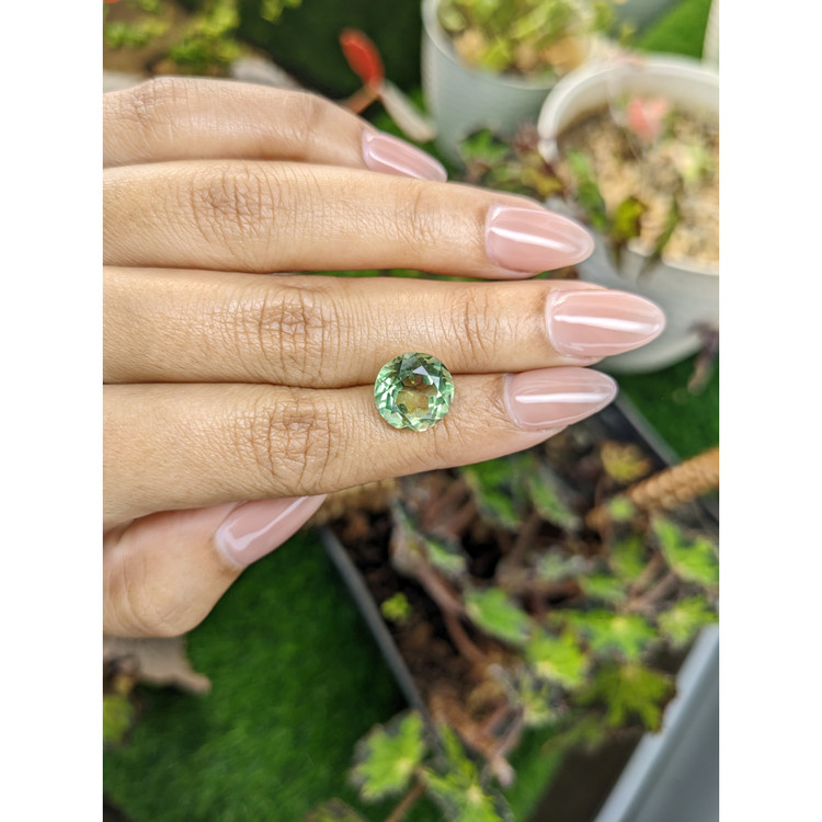 5.26 Ct. Yellowish Green Prasiolite from Brazil