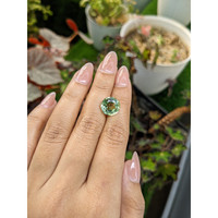 5.26 Ct. Yellowish Green Prasiolite from Brazil Life Style