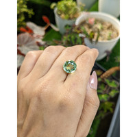 5.57 Ct. Yellowish Green Prasiolite from Brazil Life Style