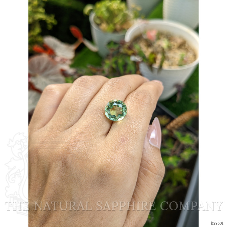 5.57 Ct. Yellowish Green Prasiolite from Brazil