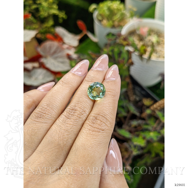 5.57 Ct. Yellowish Green Prasiolite from Brazil