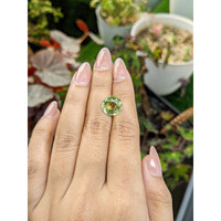 5.77 Ct. Yellowish Green Prasiolite from Brazil Life Style