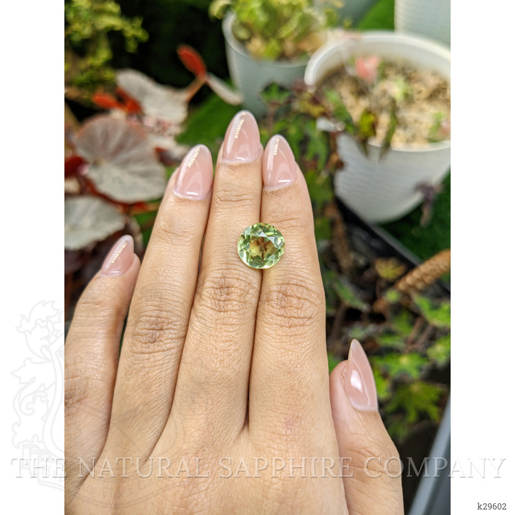 5.77 Ct. Yellowish Green Prasiolite from Brazil