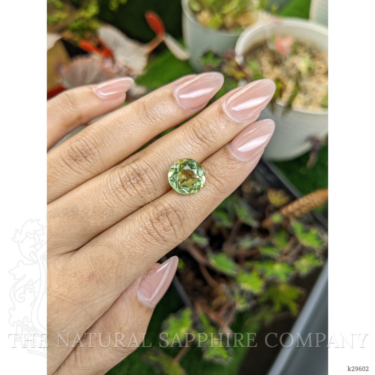 5.77 Ct. Yellowish Green Prasiolite from Brazil