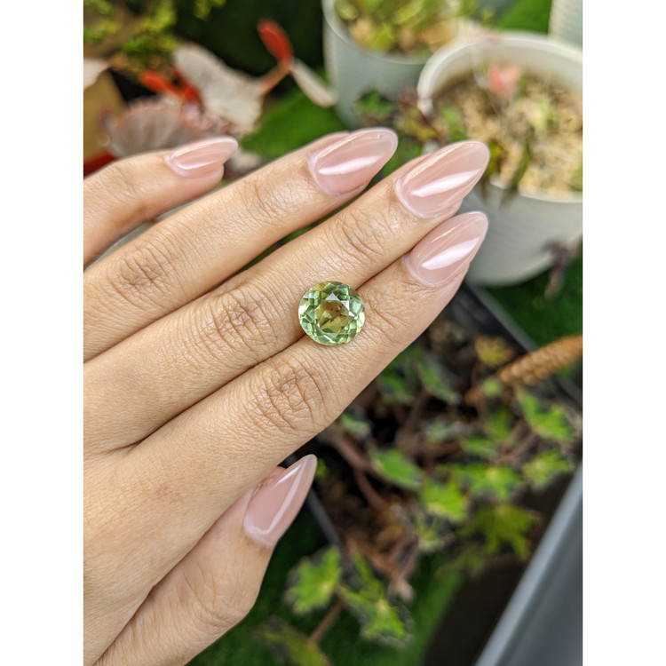 5.77 Ct. Yellowish Green Prasiolite from Brazil