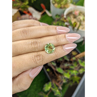 5.77 Ct. Yellowish Green Prasiolite from Brazil Life Style