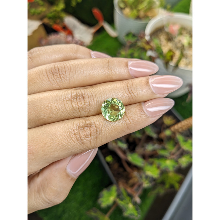 5.77 Ct. Yellowish Green Prasiolite from Brazil