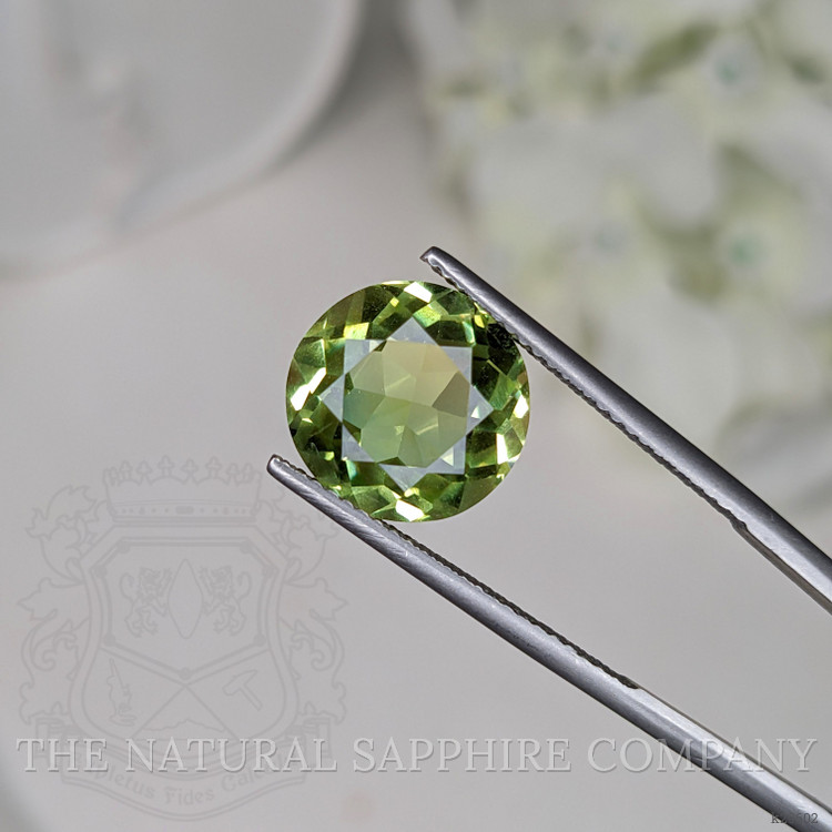 5.77 Ct. Yellowish Green Prasiolite from Brazil