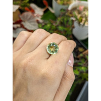 6.19 Ct. Yellowish Green Prasiolite from Brazil Life Style