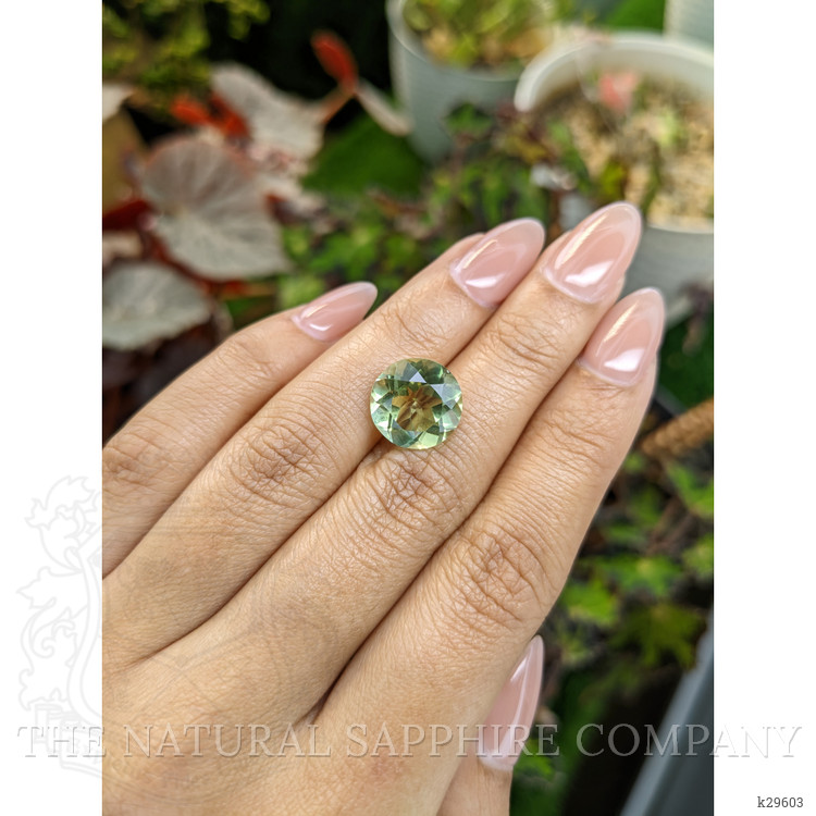 6.19 Ct. Yellowish Green Prasiolite from Brazil