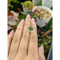 6.19 Ct. Yellowish Green Prasiolite from Brazil Life Style