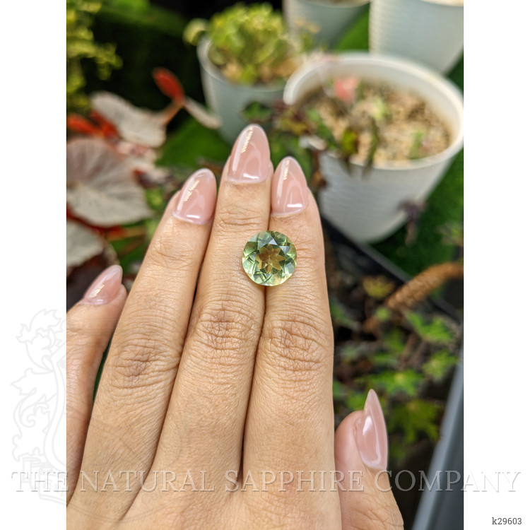 6.19 Ct. Yellowish Green Prasiolite from Brazil