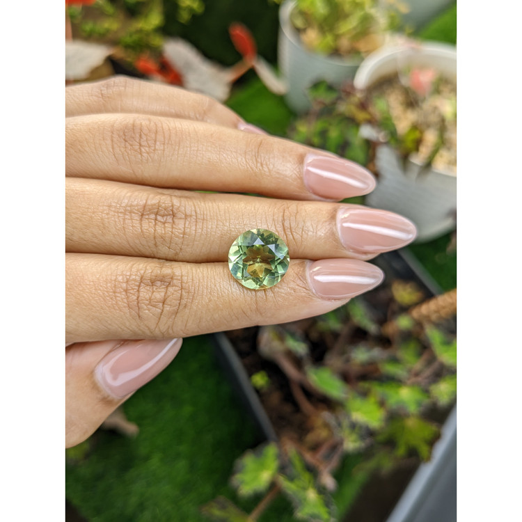 6.19 Ct. Yellowish Green Prasiolite from Brazil