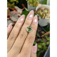 4.76 Ct. Green Prasiolite from Brazil Life Style
