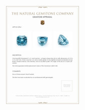 1.61 Ct. Zircon from Ceylon (Sri Lanka) Appraisal