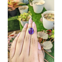 10.01 Ct. Purple Amethyst from Brazil Life Style