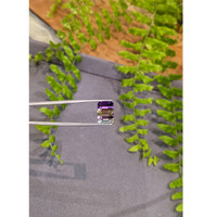 11.58 Ct. Bi Color Ametrine from Madagascar Life Style