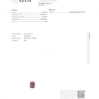 Jewelry Scan Report