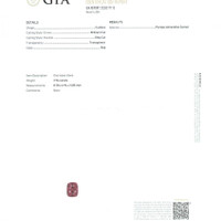 Jewelry Scan Report