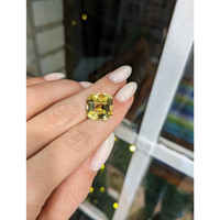 13.53 Ct. Tourmaline from Mozambique Life Style