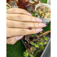 1.62 Ct. Purplish Red Rhodolite Garnet from Ceylon (Sri Lanka) Life Style