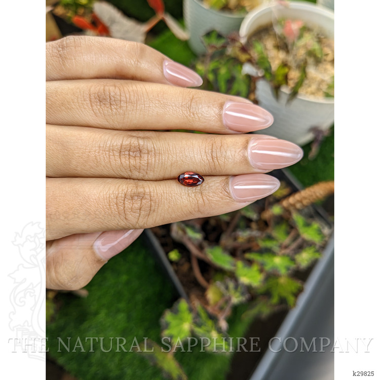 1.10 Ct. Red Garnet from Ceylon (Sri Lanka)