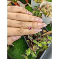 1.21 Ct. Reddish Purple Rhodolite Garnet from Ceylon (Sri Lanka) Life Style