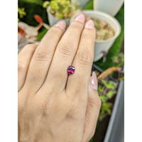 1.21 Ct. Reddish Purple Rhodolite Garnet from Ceylon (Sri Lanka) Life Style