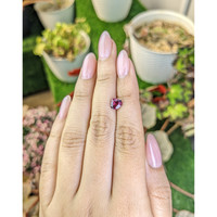 1.07 Ct. Purplish Pink Rhodolite Garnet from Ceylon (Sri Lanka) Life Style