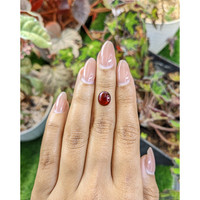 2.90 Ct. Red Cabochon Garnet from Ceylon (Sri Lanka) Life Style