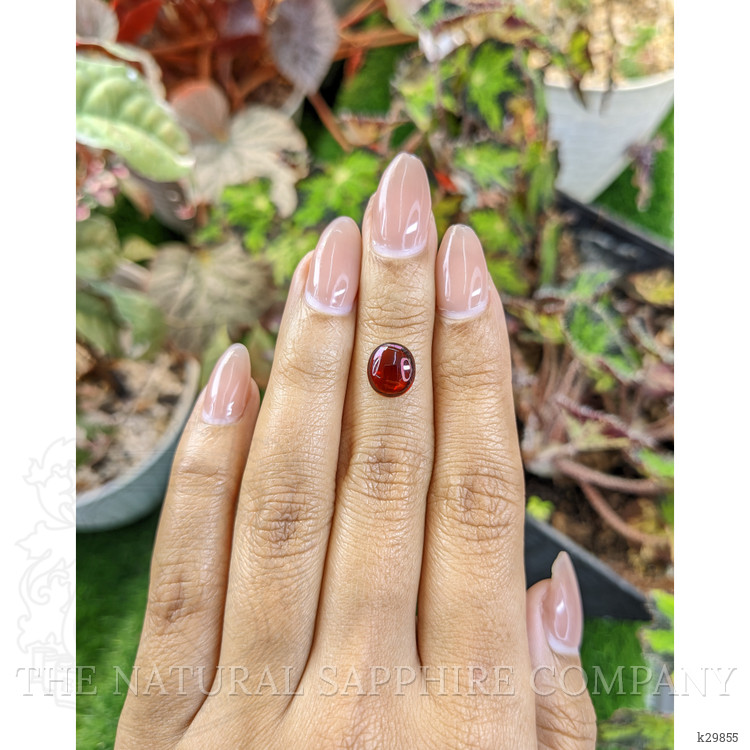 2.90 Ct. Red Cabochon Garnet from Ceylon (Sri Lanka)