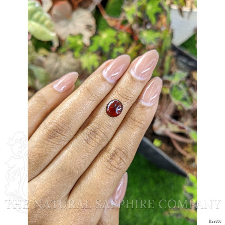 2.90 Ct. Red Cabochon Garnet from Ceylon (Sri Lanka)