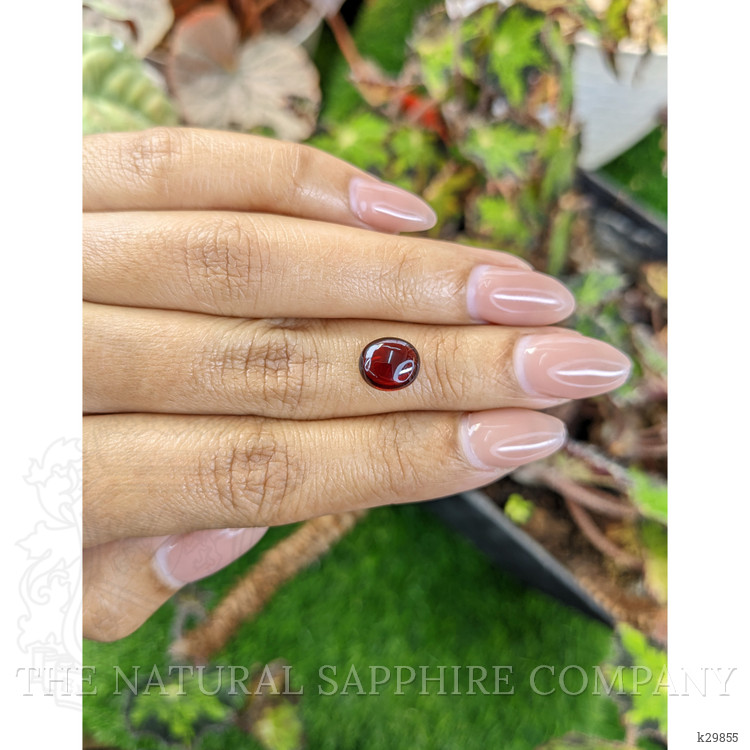 2.90 Ct. Red Cabochon Garnet from Ceylon (Sri Lanka)