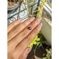 2.23 Ct. Purple Cabochon Star Spinel from Ceylon (Sri Lanka) Life Style