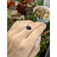 2.56 Ct. Red Garnet from Ceylon (Sri Lanka) Life Style