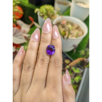 5.84 Ct. Purple Amethyst from Brazil Life Style