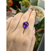 7.28 Ct. Purple Amethyst from Brazil Life Style