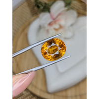 11.04 Ct. Yellowish Orange Citrine from Brazil Life Style