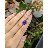 5.64 Ct. Purple Amethyst from Brazil Life Style