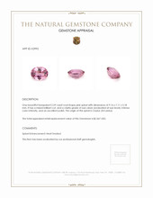 Jewelry Appraisal