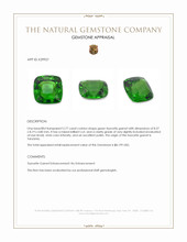 2.77 Ct. Tsavorite Garnet from Tanzania Appraisal
