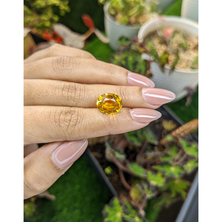 5.67 Ct. Yellow Citrine from Brazil