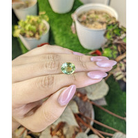 4.76 Ct. Yellowish Green Prasiolite from Brazil Life Style