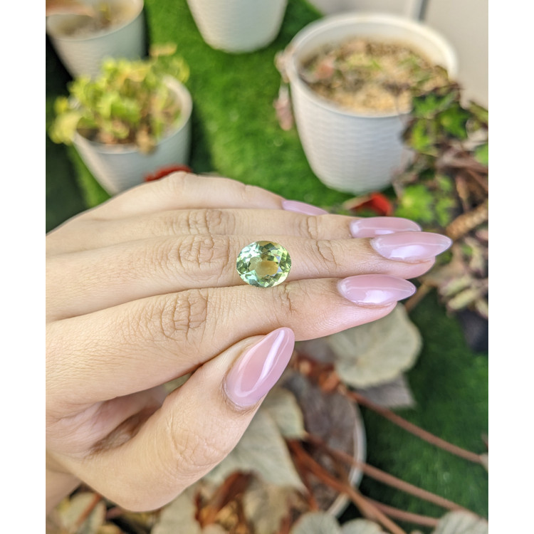 4.76 Ct. Yellowish Green Prasiolite from Brazil